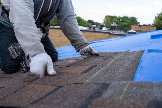 Professional Roofing Contractor in Blakely, GA