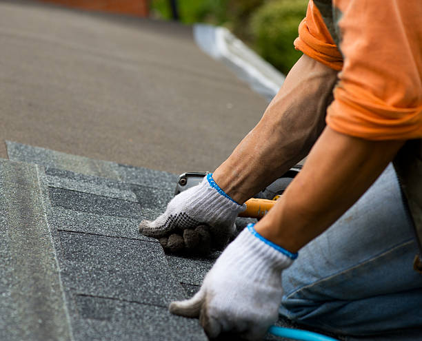 Best Storm Damage Roof Repair  in Blakely, GA