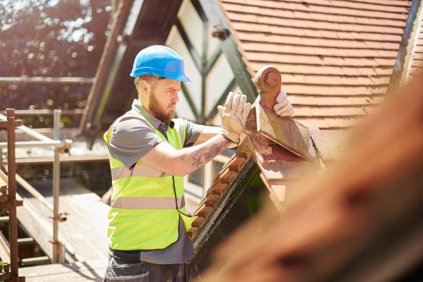 Best Roof Leak Repair  in Blakely, GA