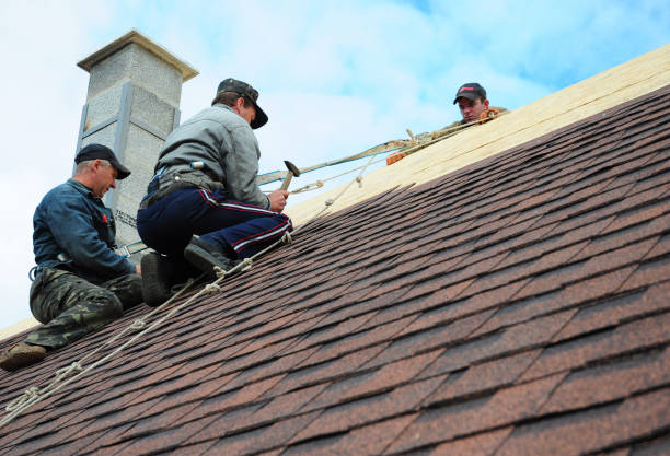 Best Flat Roof Repair Services  in Blakely, GA